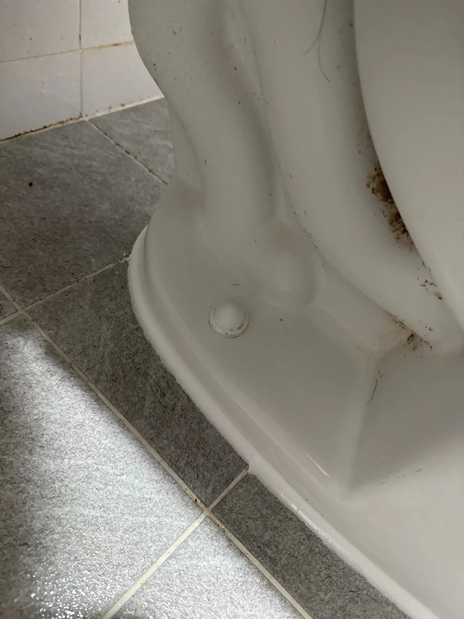 새로 시공한 변기 하단 바닥 접합부 실리콘 시공 후 사진